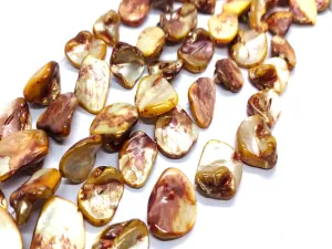 Brown Designer Uncut Shell Beads