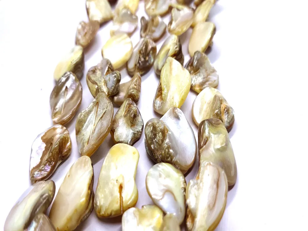 Brown Uncut Shell Beads