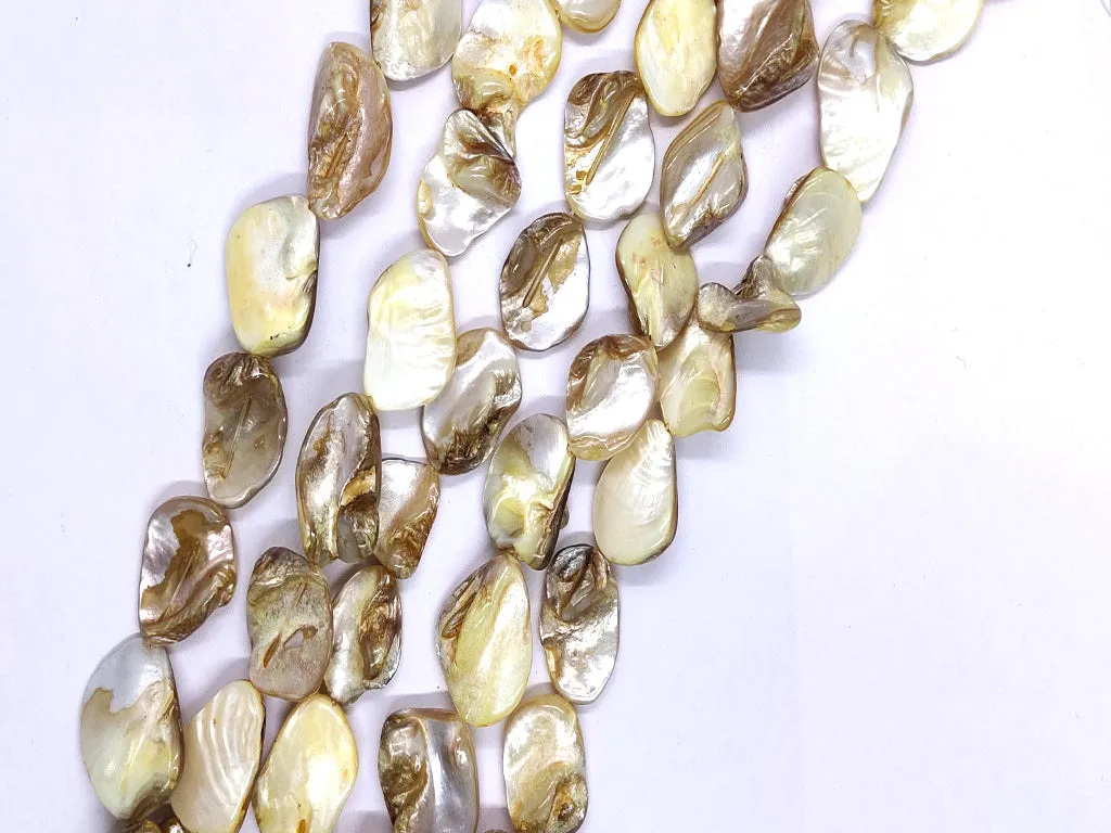 Brown Uncut Shell Beads