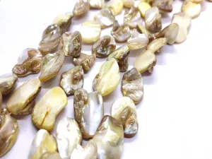 Brown Uncut Shell Beads