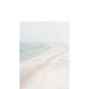 Calm Shore