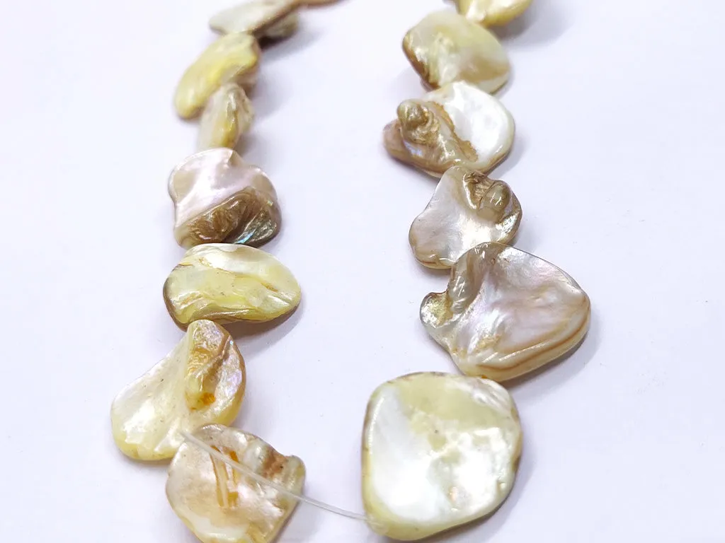 Cream Uneven Designer Shell Beads
