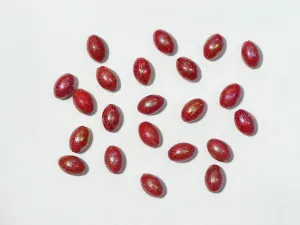 Deep Red Designer Oval Plastic Beads - 20x14 mm