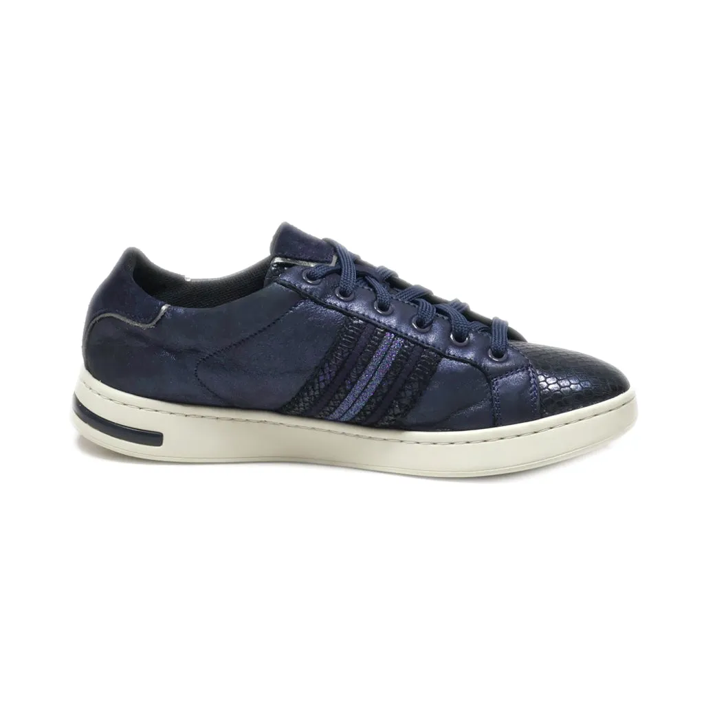 Geox Respira Low-Top Sneakers Leather Blue Colour For Women