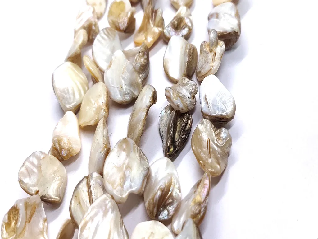 Light Brown Uncut Shell Beads