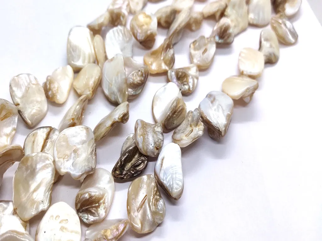 Light Brown Uncut Shell Beads
