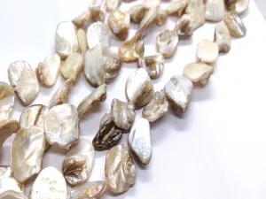Light Brown Uncut Shell Beads