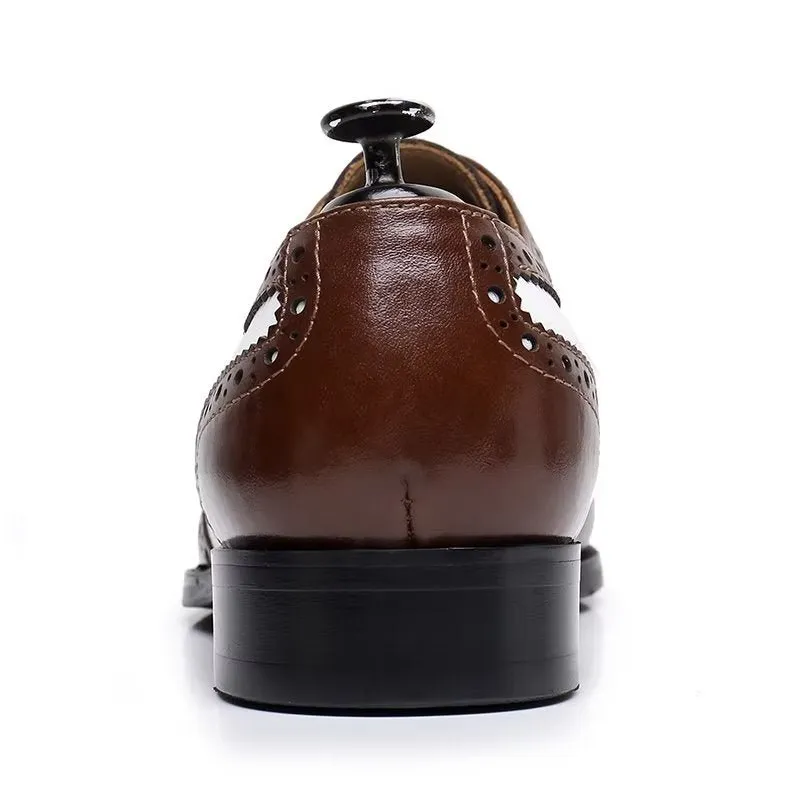 Luxorique Timeless Elegance Lace-Up