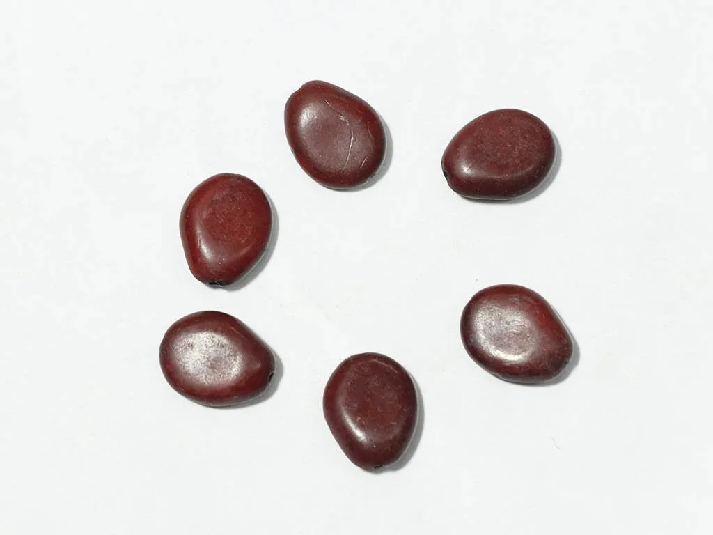 Maroon Uneven Oval Plastic Beads - 25x18 mm