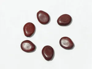 Maroon Uneven Oval Plastic Beads - 25x18 mm