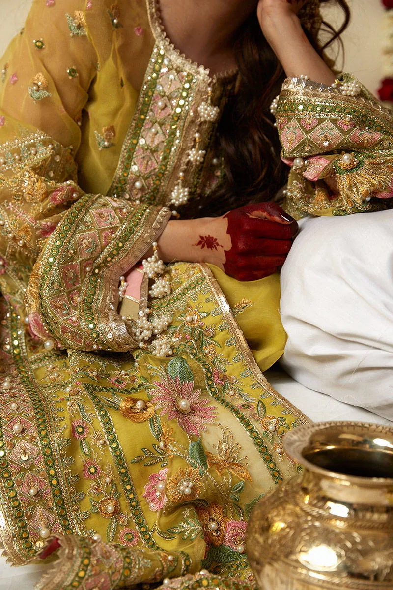 Mohsin Naveed Ranjha Zarlish Wedding Collection Vol-3 – Nimbu