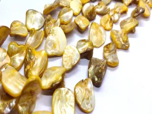 Mustard Brown Uncut Shell Beads