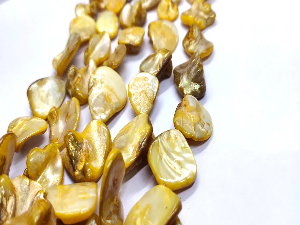 Mustard Brown Uncut Shell Beads