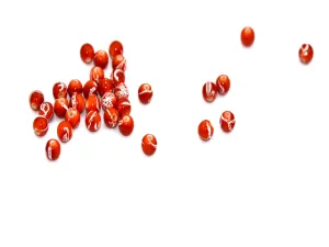 Orange White Spherical Plastic Beads
