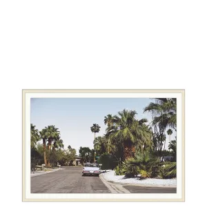 Vintage Palm Trees