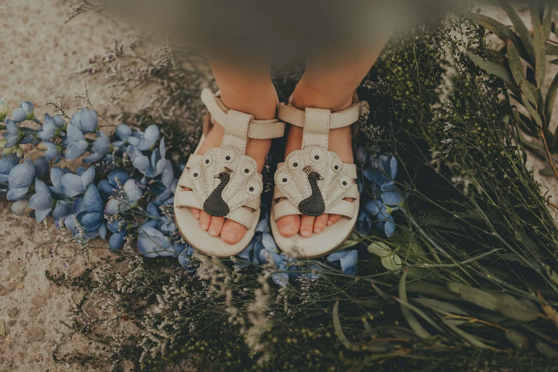 Zuza Sandals | Peacock | Ivory Leather